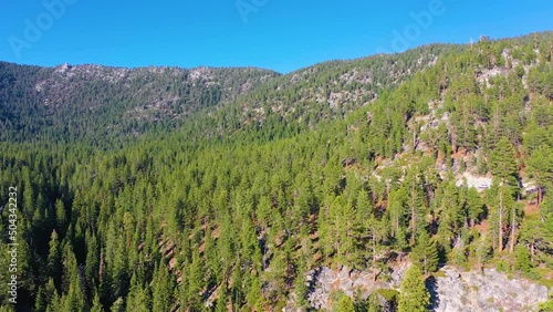 Aerial Drone Descending Through Thick Jeffrey Pine Tree Forest and Mountain Range During Summer with Cars Driving on Road Through Valley in the Siera Nevada Mountains photo