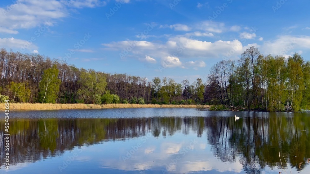 WIDOK NA JEZIORO. POPOŁUDNIE NAD JEZIOREM. CZAS WIOSNY. WIDOK NA JEZIORO. POPOŁUDNIE NAD JEZIOREM. CZAS WIOSNY.