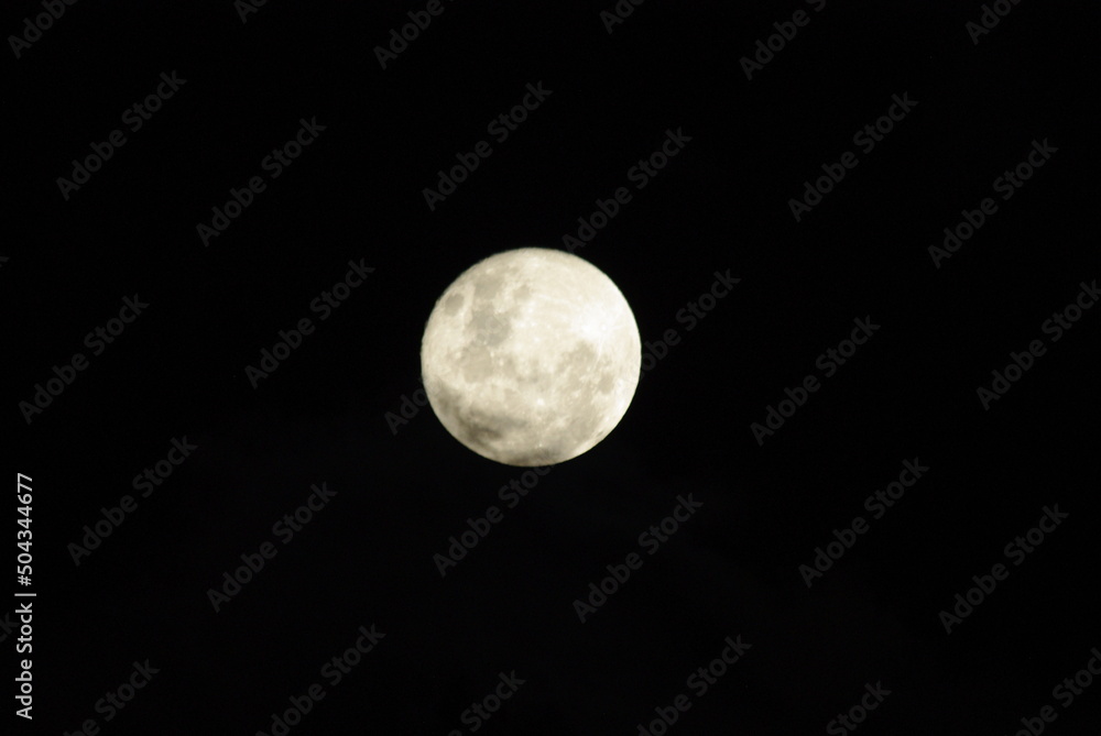 Fototapeta premium full moon in the night sky