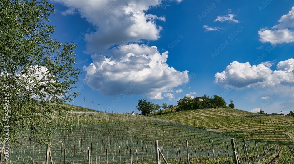 landscapes of the Piedmontese Langhe in spring, in the area of Barolo and Monforte d'Alba, home of the best wine in the world