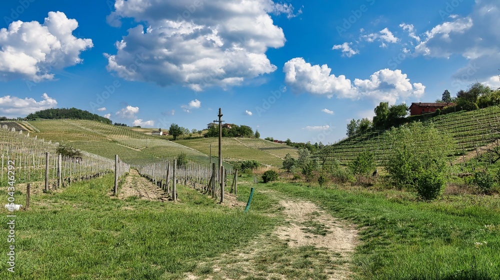 the splendid Piedmontese Langhe with its vineyards and world famous wine, in the areas of Barolo and Monforte