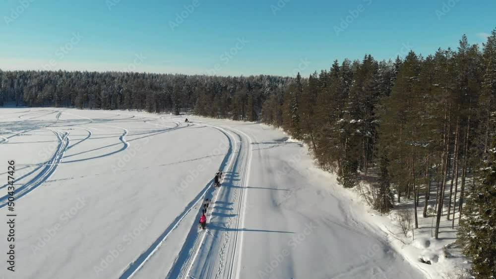 Husky sleigh ride in Kuusamo, Finland on sunny Kylmäjärvi lake shot with drone Husky sleigh ride in Kuusamo, Finland on sunny Kylmäjärvi lake shot with drone