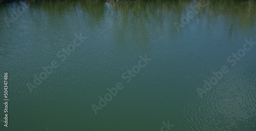 Lake abstract reflection of coastal grass on water in the park