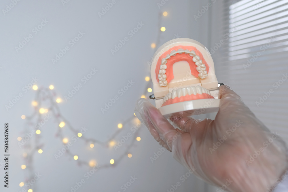 close-up of female hands, doctor dentist holds model of the human jaw ...