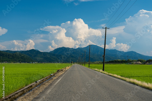 水田と田舎道