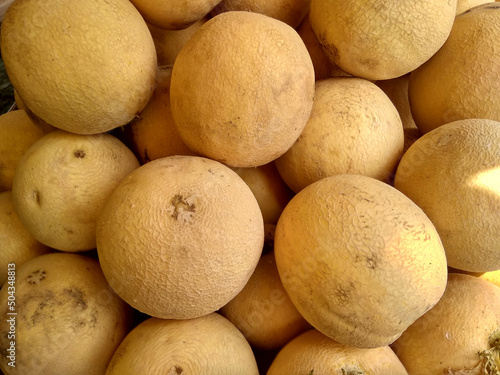 Muskmelon melons  Cantaloupe Melon selling in market fruits background 