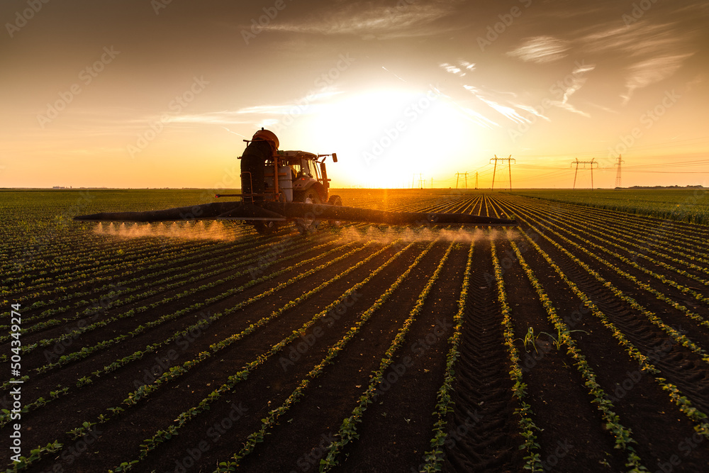 Fototapeta premium Tractor spraying soybean field at spring