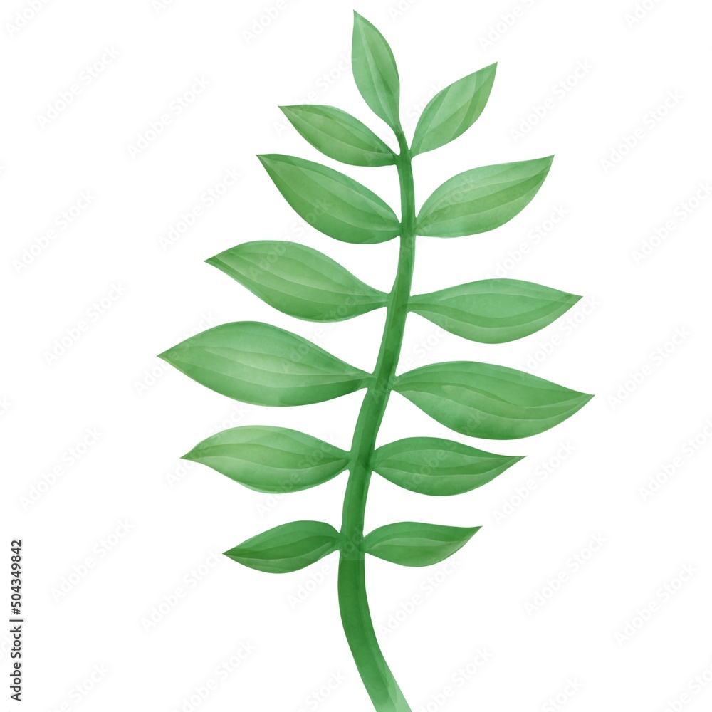  botnical drawing,  tropical jungle element, floral illustration, palm leaf, tree green plant,