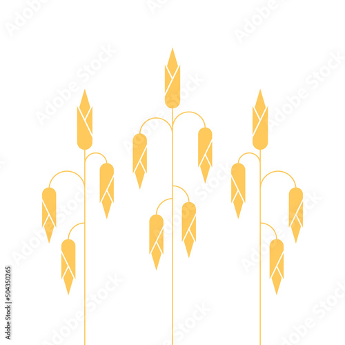 Corn icon. Corn doodle pattern wallpaper. Corn on white background.