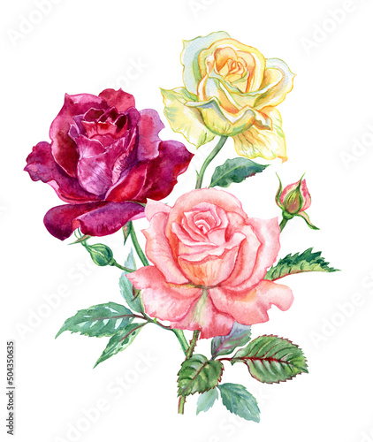 Bouquet of three roses: yellow, burgundy and pink, watercolor illustration isolated on white background, clipart, decor for various product designs.