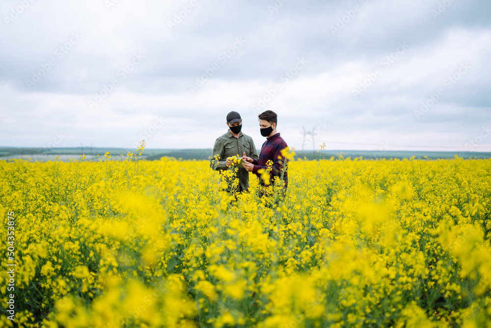 Farmers with tablet in the field. Farmers in sterile medical masks discuss agricultural issues on the field. Covid-19. Farmers with tablet in the field. Farmers in sterile medical masks discuss agricultural issues on the field. Covid-19.