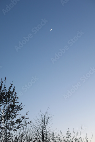 Night sky landscape. Crescent Moon on dark blue night sky background.