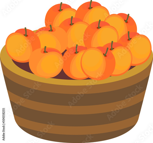 Ripe orang peaches in basket isolated on white background
