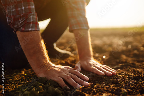 Expert hand of farmer checking soil health before growth a seed of vegetable or plant seedling.  Agriculture, organic gardening, planting or ecology concept. photo