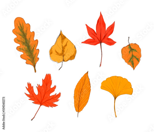 Autumn leaves illustration isolated on a white background.