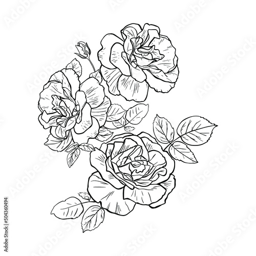 Line art invitation with hand drawn roses on white background. Simple vector illustration. Botanical print.