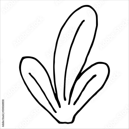 Doodle grass, bush hand-drawn, outline black, vector image of grass isolated on a white background.