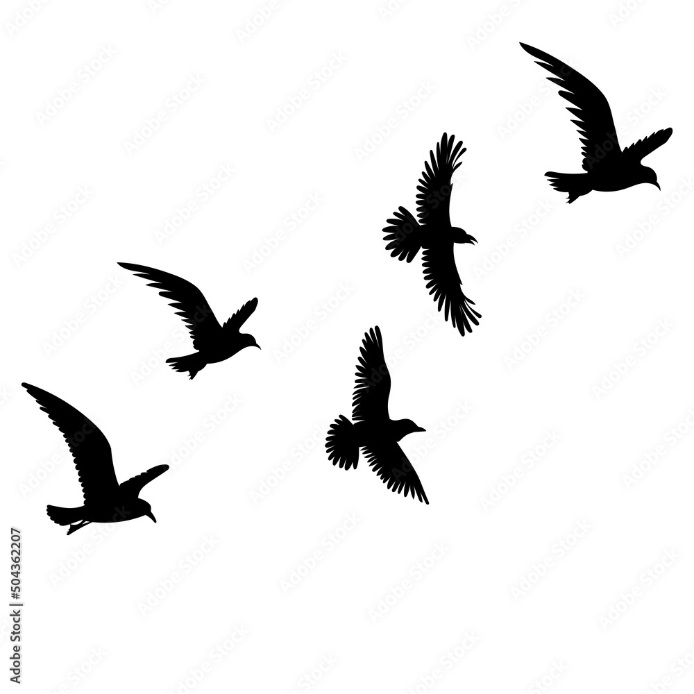 Fototapeta premium birds flying silhouette, on white background, isolated, vector