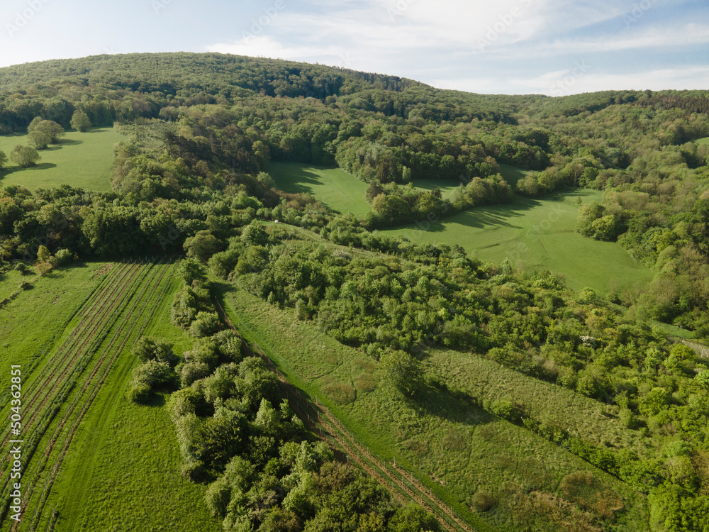Fototapeta premium aerial drone flight over green meadows and forest in lower austria