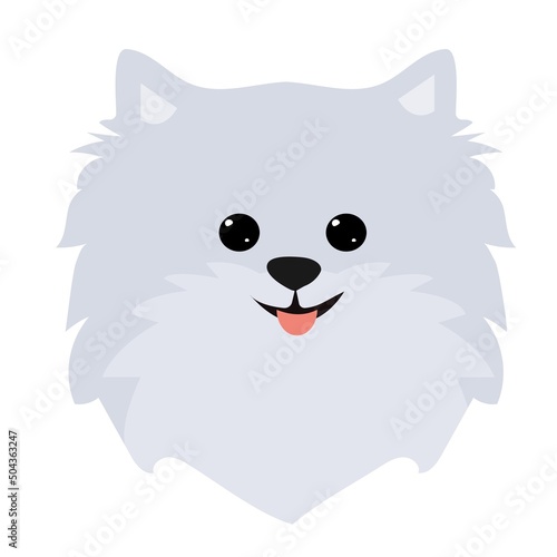 Dog spitz head icons.Vector illustration in flat stile