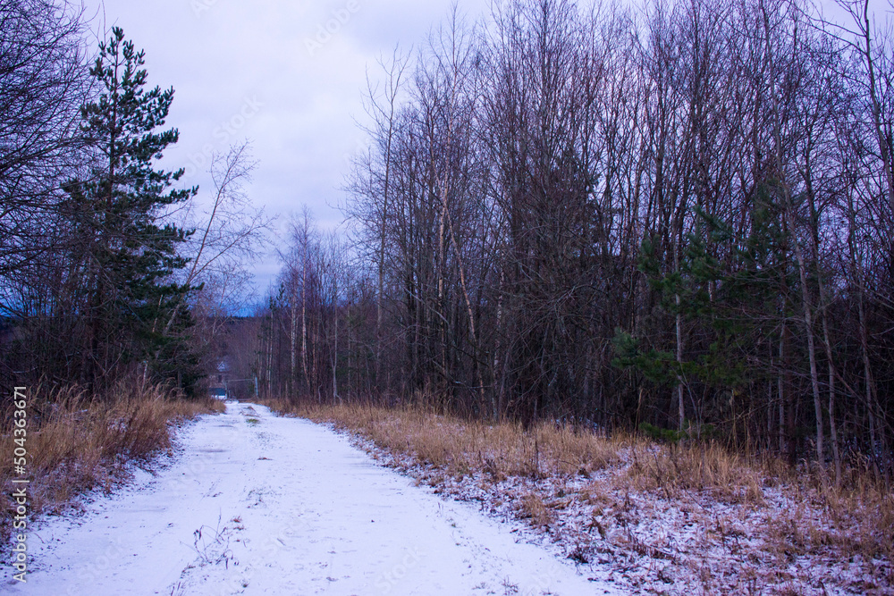 snowy road in the woods. Winter landscape. snowy road in the woods. Winter landscape.