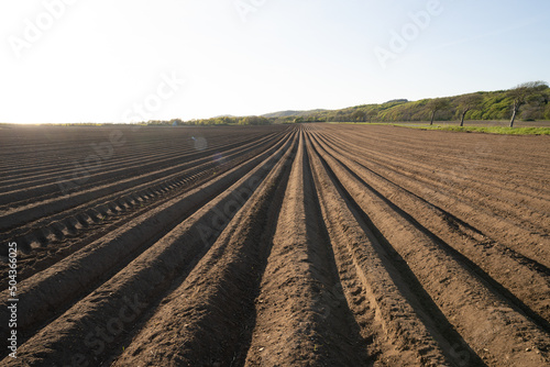 Furrows row pattern in a plowed field prepared for planting crops in spring. Horizontal view in perspective. Photo from Scania, Sweden.