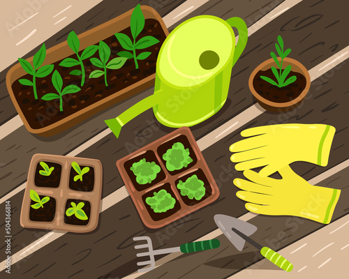 Cute vector composition with garden tools and seedlings. Garden work illustration. Plant growing in a greenhouse
