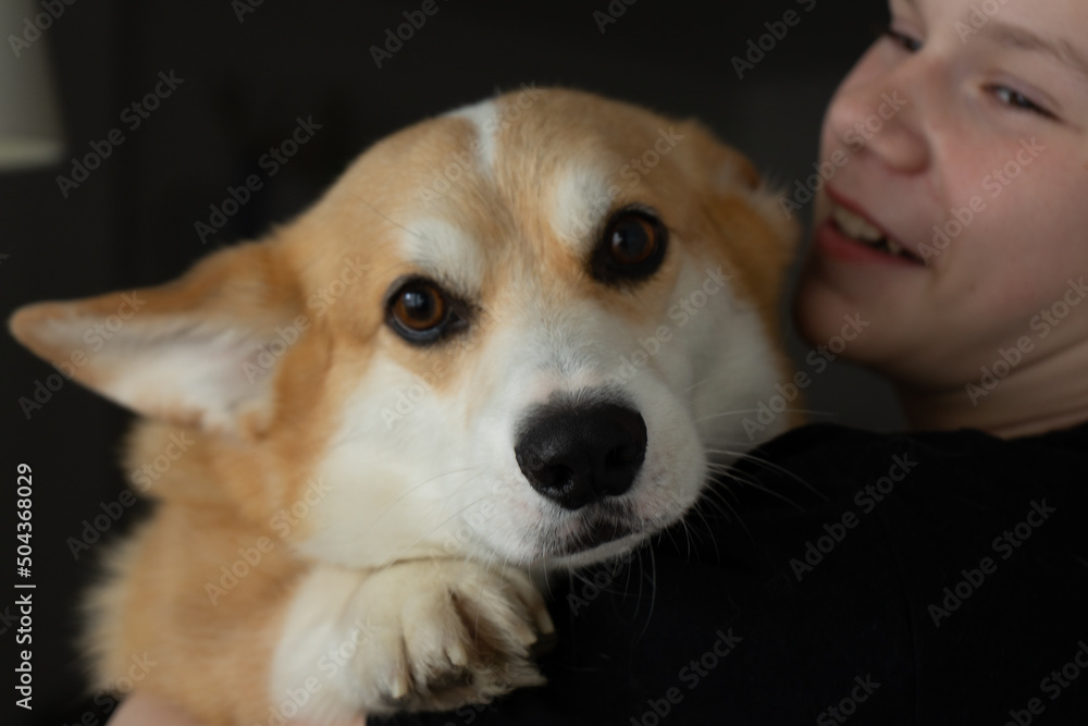 boy hugs his corgi dog boy hugs his corgi dog