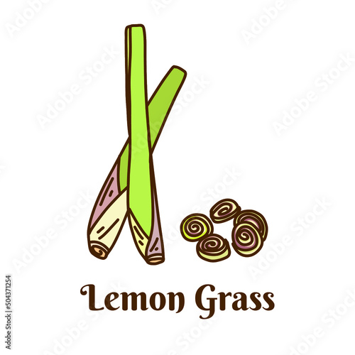 Hand drawn vector illustration of lemon grass isolated on white background.