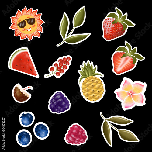 fulcolor summer fruits and berries and leaves sticker pack