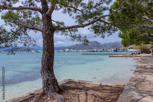 Alcanada beach, in the town of Alcúdia on the island of Palma de Mallorca, Spain