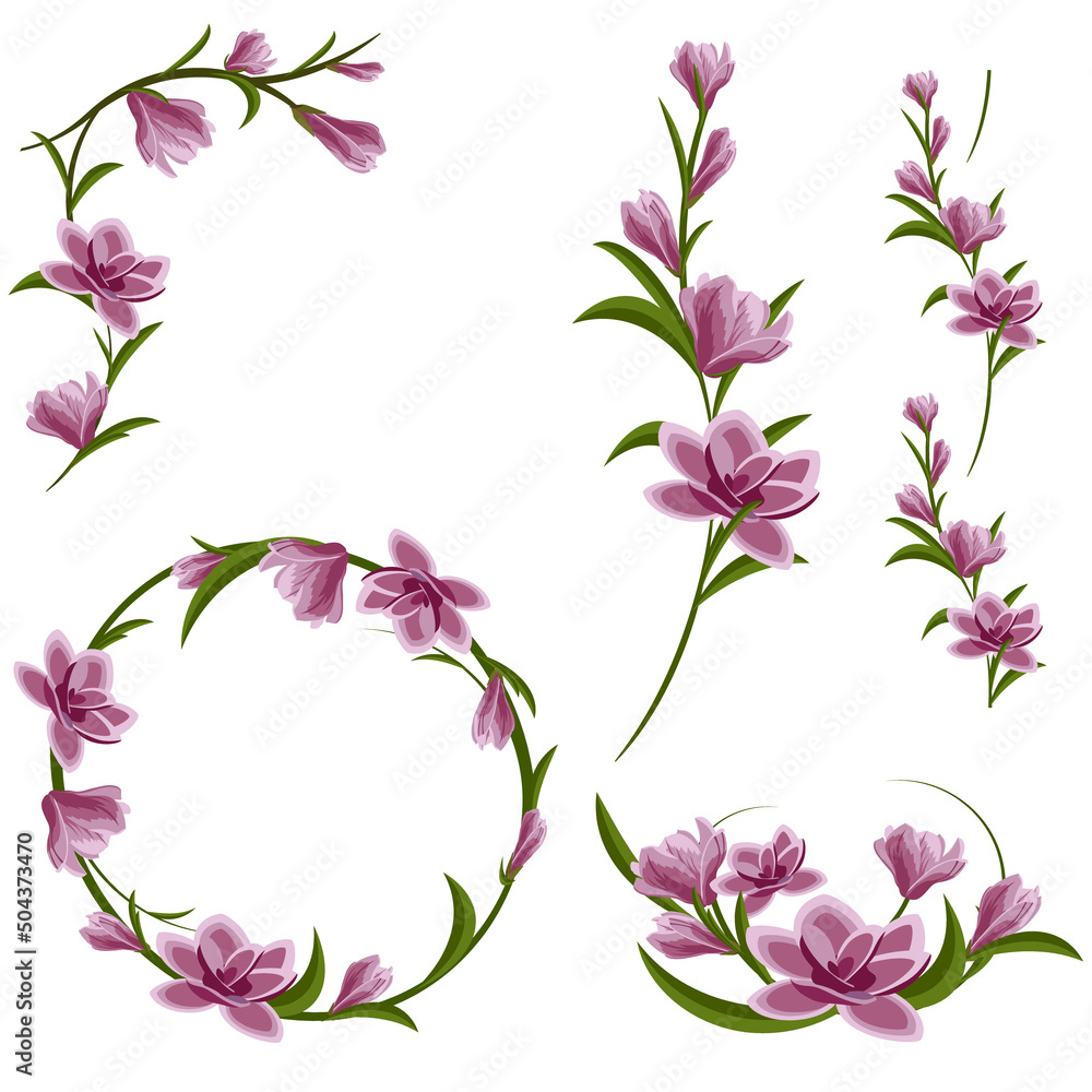 Set of magnolia flower composition. Round frame, branch, corner and seamless element. Warm soft colors. Vector illustration