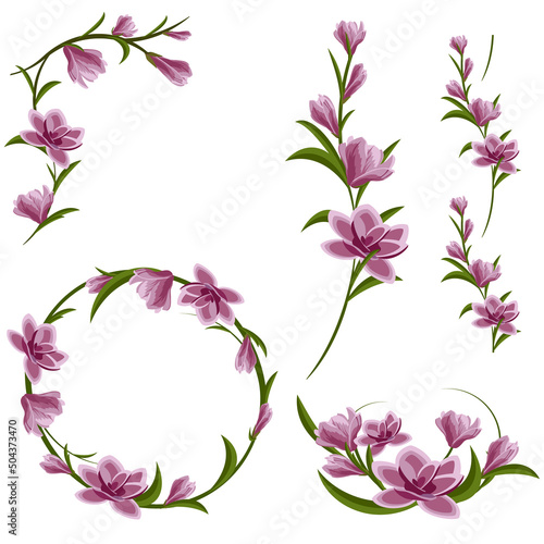 Set of magnolia flower composition. Round frame  branch  corner and seamless element. Warm soft colors. Vector illustration