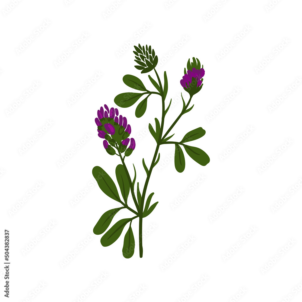 Floral elements. Flower and green leaves. Modern trendy Matisse minimal style. Floral poster, invite. Vector arrangements for greeting card or invitation design Floral elements. Flower and green leaves. Modern trendy Matisse minimal style. Floral poster, invite. Vector arrangements for greeting card or invitation design