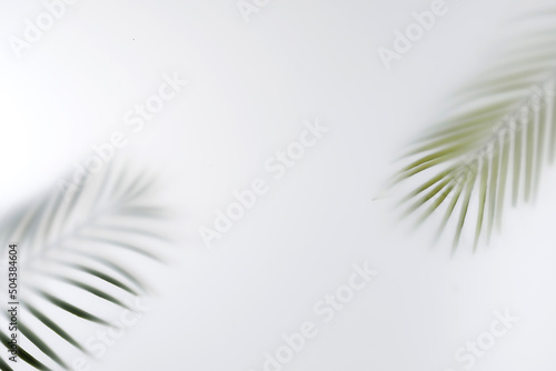 Summer palm tree branches save space. Minimal tropics contemporary concept blurred image. © sergign