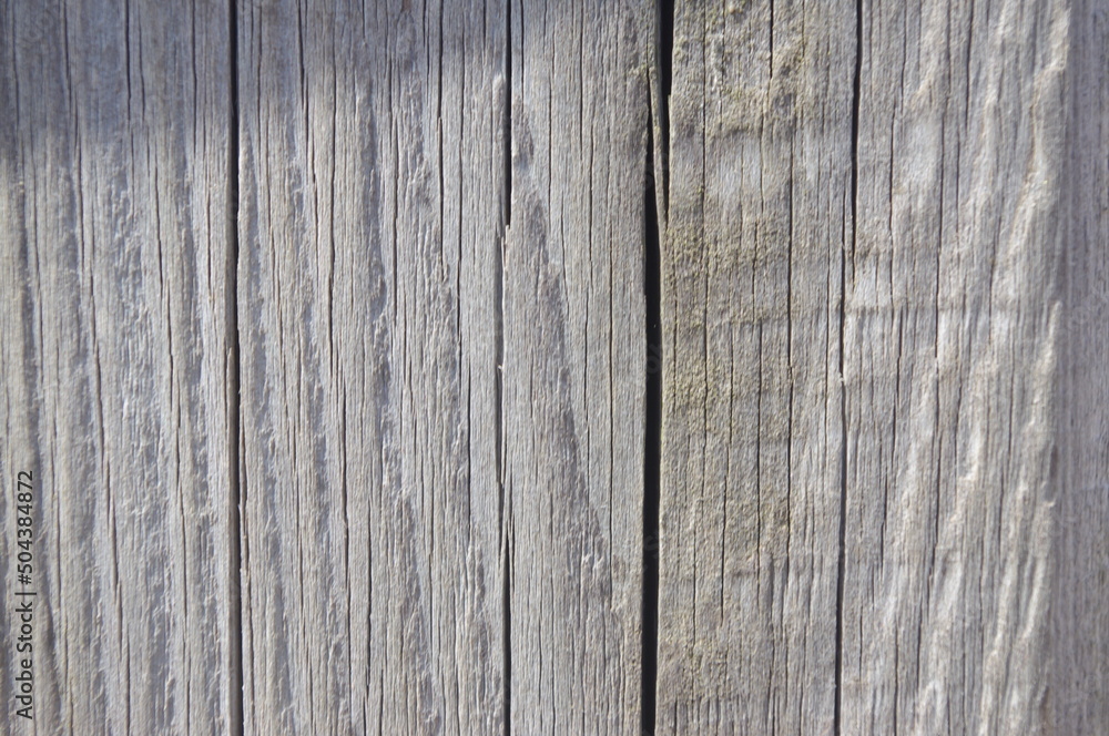 Naklejka premium Textura de Madera