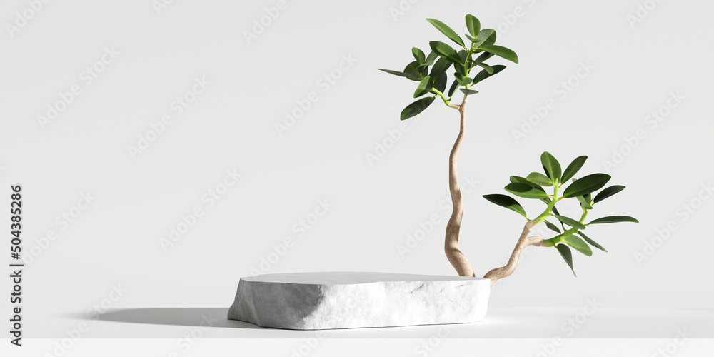Stone product display podium with nature leaves on white background. 3D rendering Stone product display podium with nature leaves on white background. 3D rendering