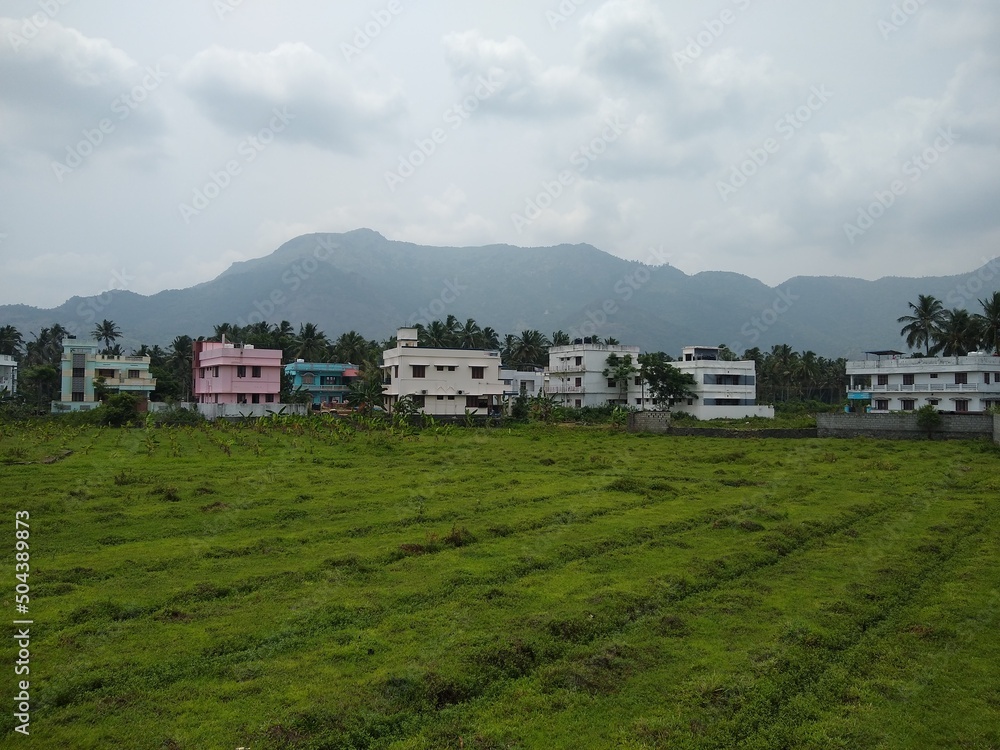 Green meadows and western ghats mountain range, Tamil Nadu , India