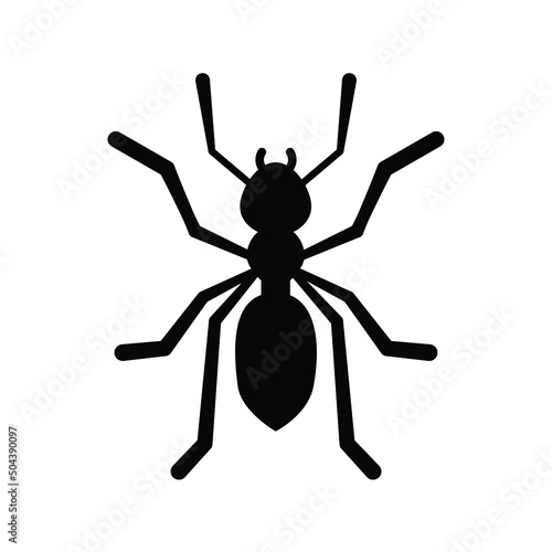 ant simple, black on white background, vector illustration 
