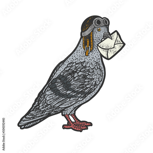 Homing Carrier pigeon with letter and old pilot helmet color sketch engraving vector illustration. T-shirt apparel print design. Scratch board imitation. Black and white hand drawn image.