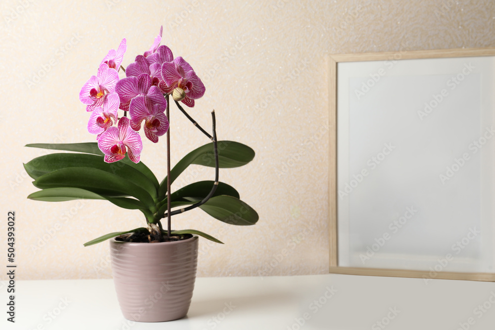 Beautiful pink orchid flower and empty frame on white table, space for text Beautiful pink orchid flower and empty frame on white table, space for text