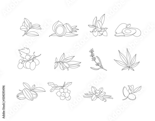 Vector set design templates and emblems - healthy and essential cosmetics oils. Different natural, organic oils.