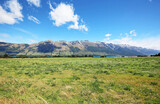 Green pasture and Thomson Mountains - New Zealand