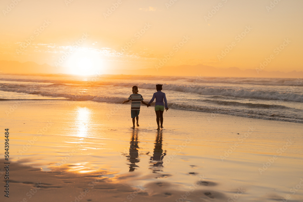 Rear view of african american siblings holding hands and walking on beach against sky at sunset