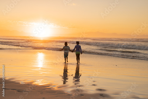 Rear view of african american siblings holding hands and walking on beach against sky at sunset