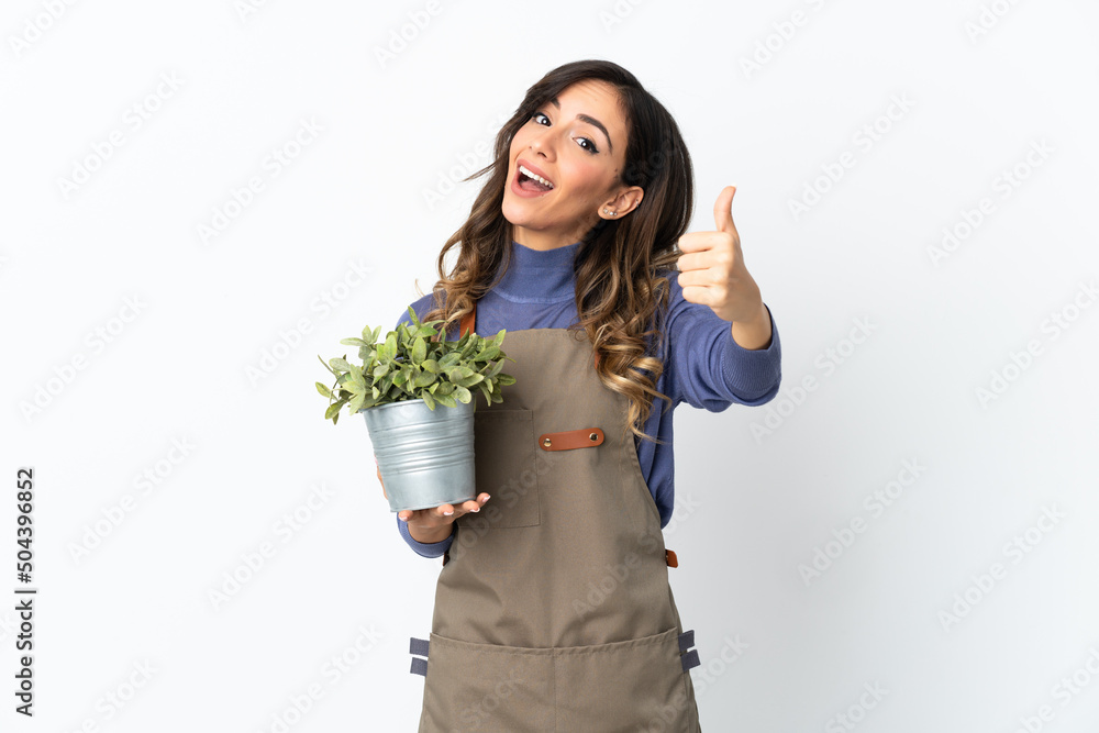Gardener girl holding a plant isolated on white background with thumbs up because something good has happened Gardener girl holding a plant isolated on white background with thumbs up because something good has happened