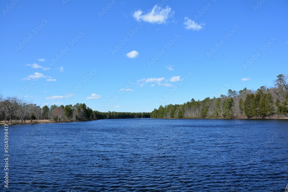 lake and forest