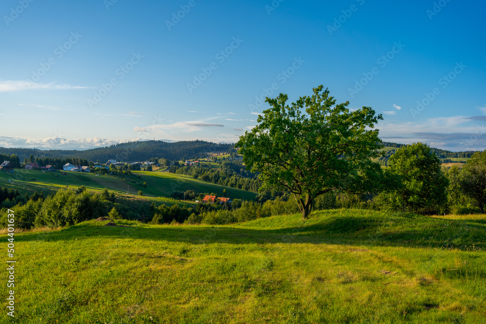 Amazing view from Drabsko to the village Sihla, Slovakia, Europe, rural concept, sunset light, pure nature