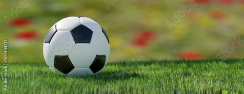 Soccer  football ball on outdoor sport court  white and black ball on green lawn  3d render