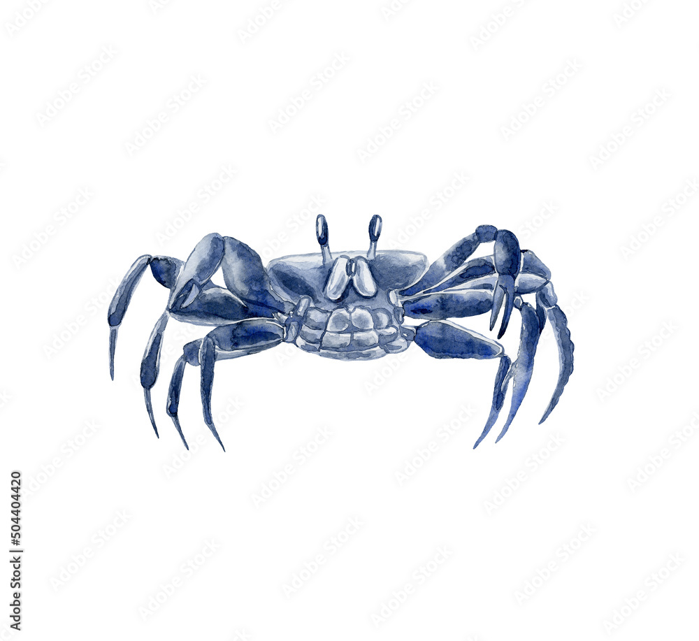 Watercolor blue crab. Underwater world. Stock Illustration | Adobe Stock
